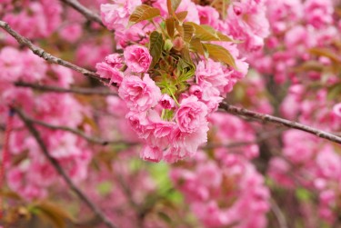 上海嘉定区6线下个人借款平台一站式服务，轻松解决资金难题