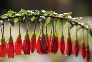 上海嘉定区6零用贷短借：轻松解决临时资金需求