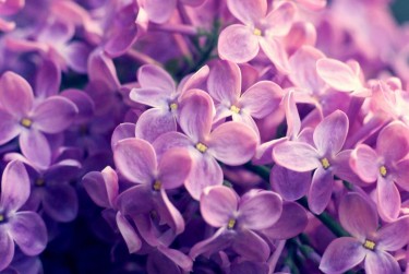 上海嘉定区6企业急用钱贷款攻略：快速融资解燃眉之急